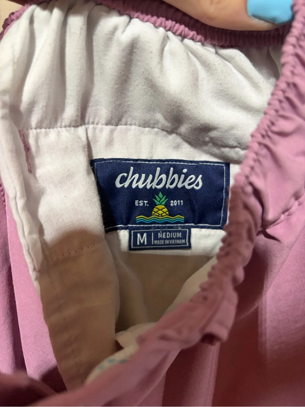Chubbies swim trunks